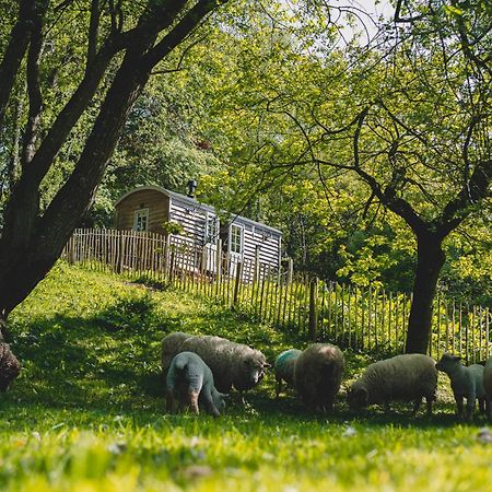 Hotel Somerset Shepherds Huts Winsham Exterior foto